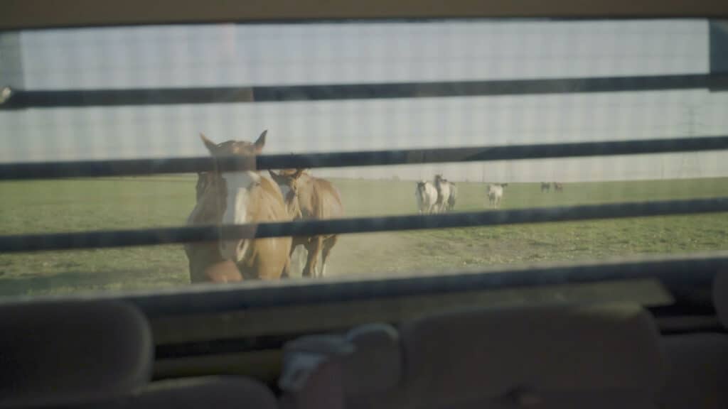 2020-09-14_Texas Boys Ranch - Lubbock Equine Therapy - Screenshot 02