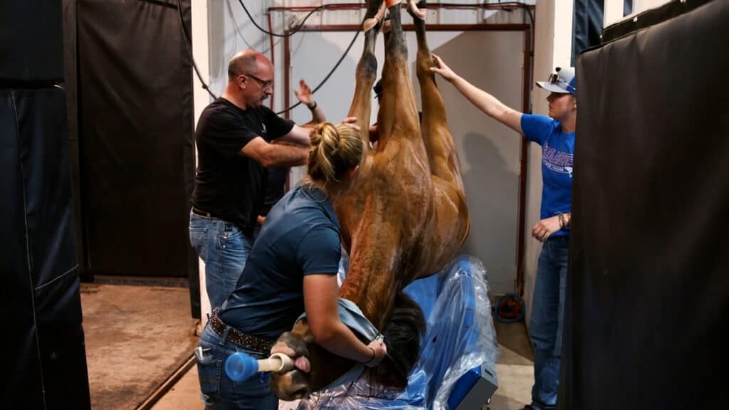 2021-07-29-Texas Tech Veterinary School - Thumbnail 02