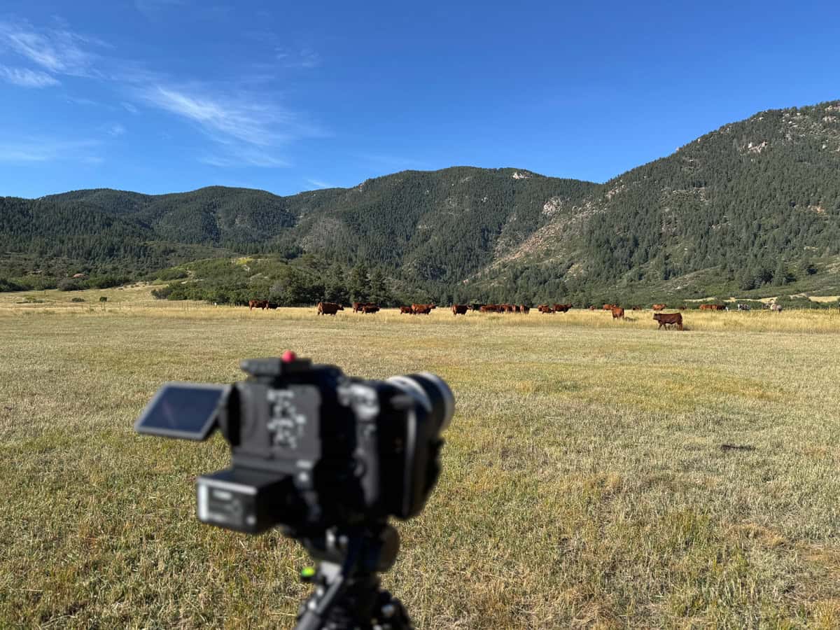 True Ranches, Storytelling Video