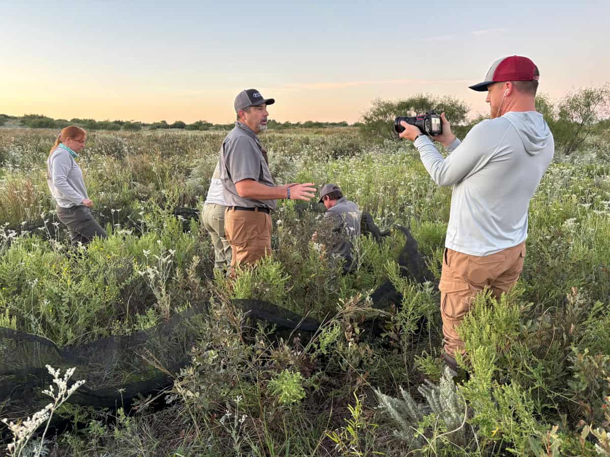 Texas Tech University, Quail Storytelling Video